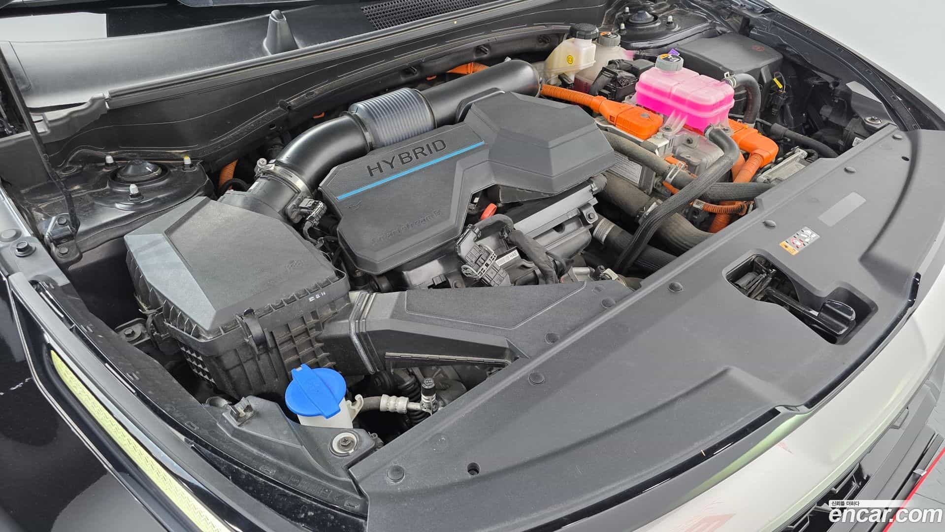 Sportage Kia 2022.5-OUTER-006