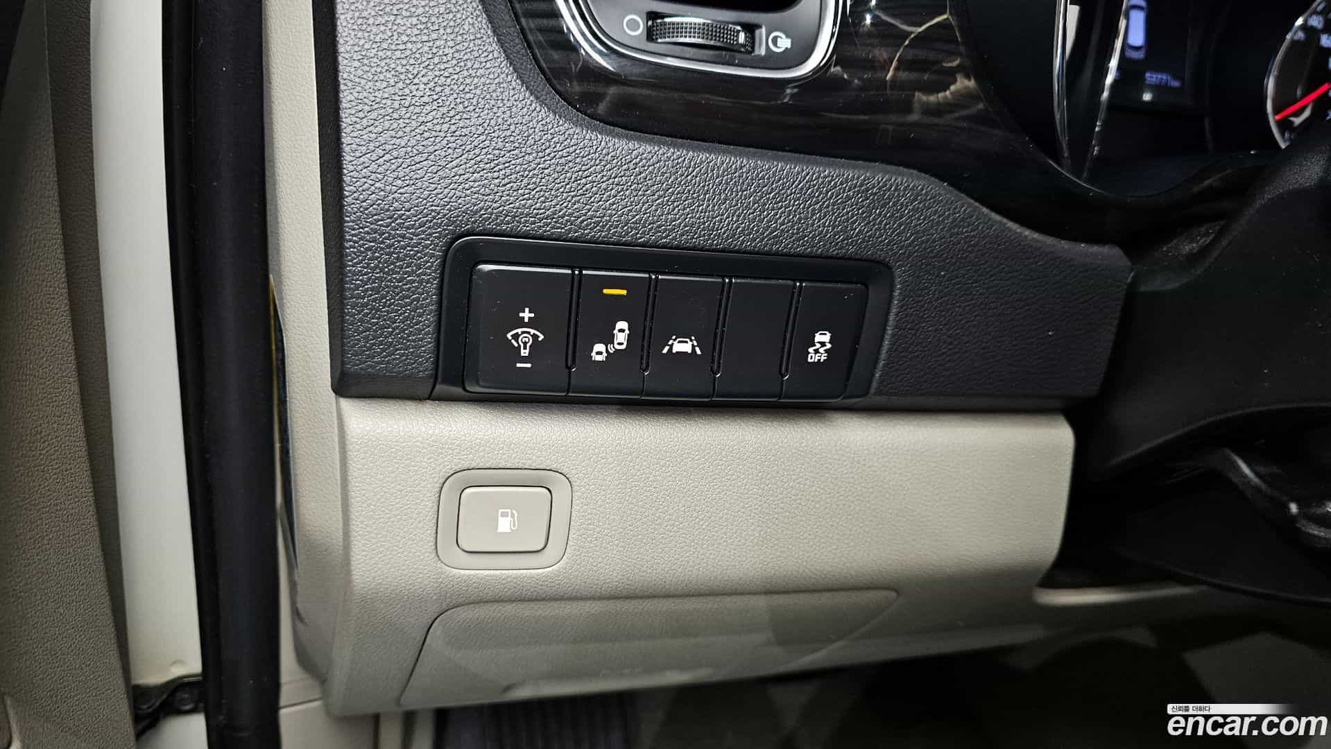Canival Kia 2019.3-OPTION-020