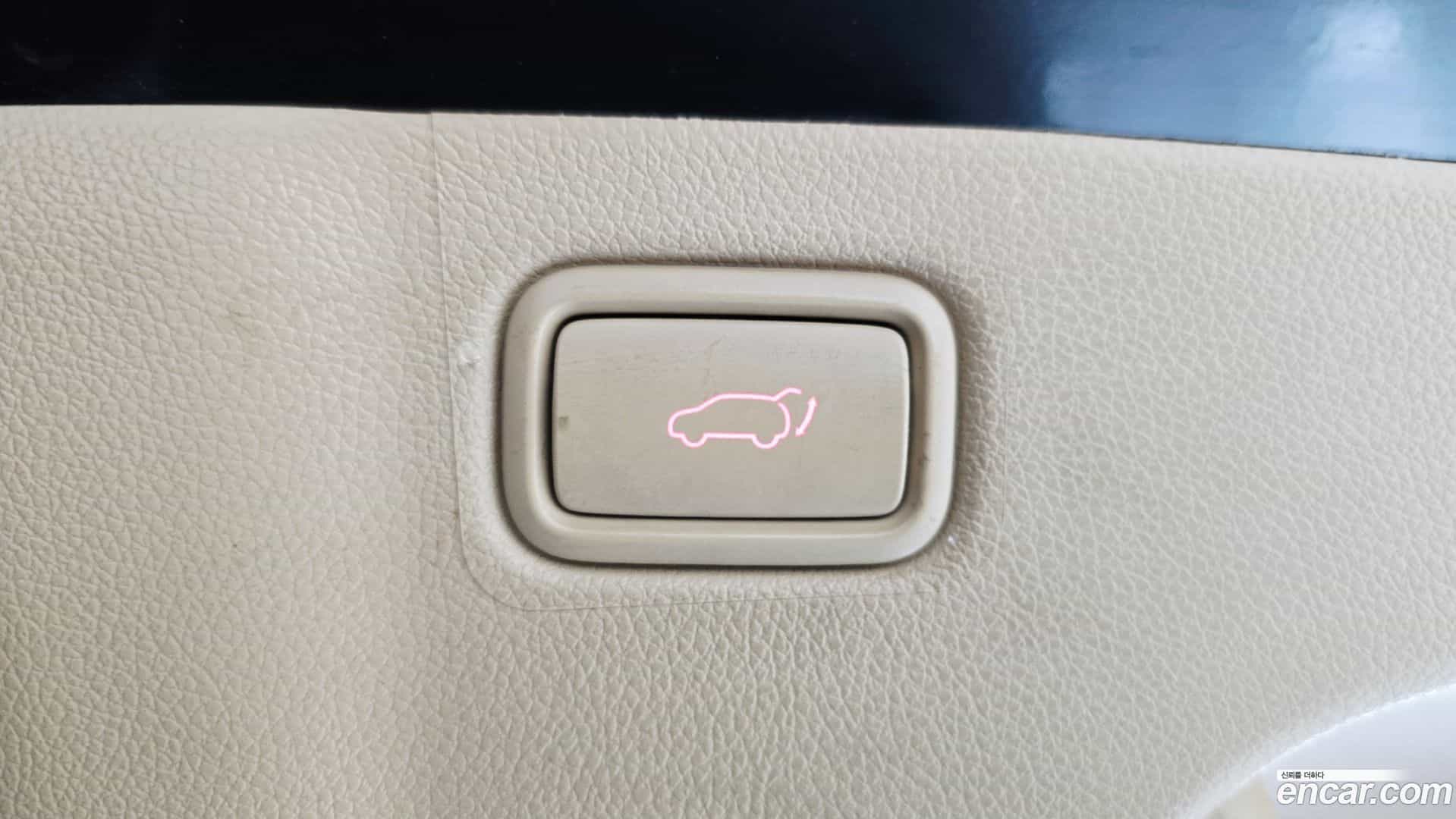 Canival Kia 2019.5-OPTION-024