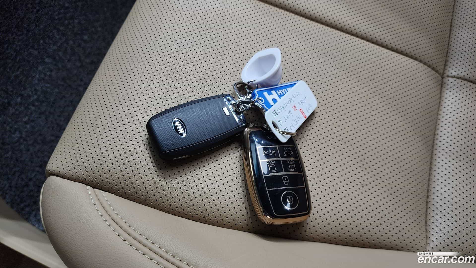 Canival Kia 2018.11-OPTION-041