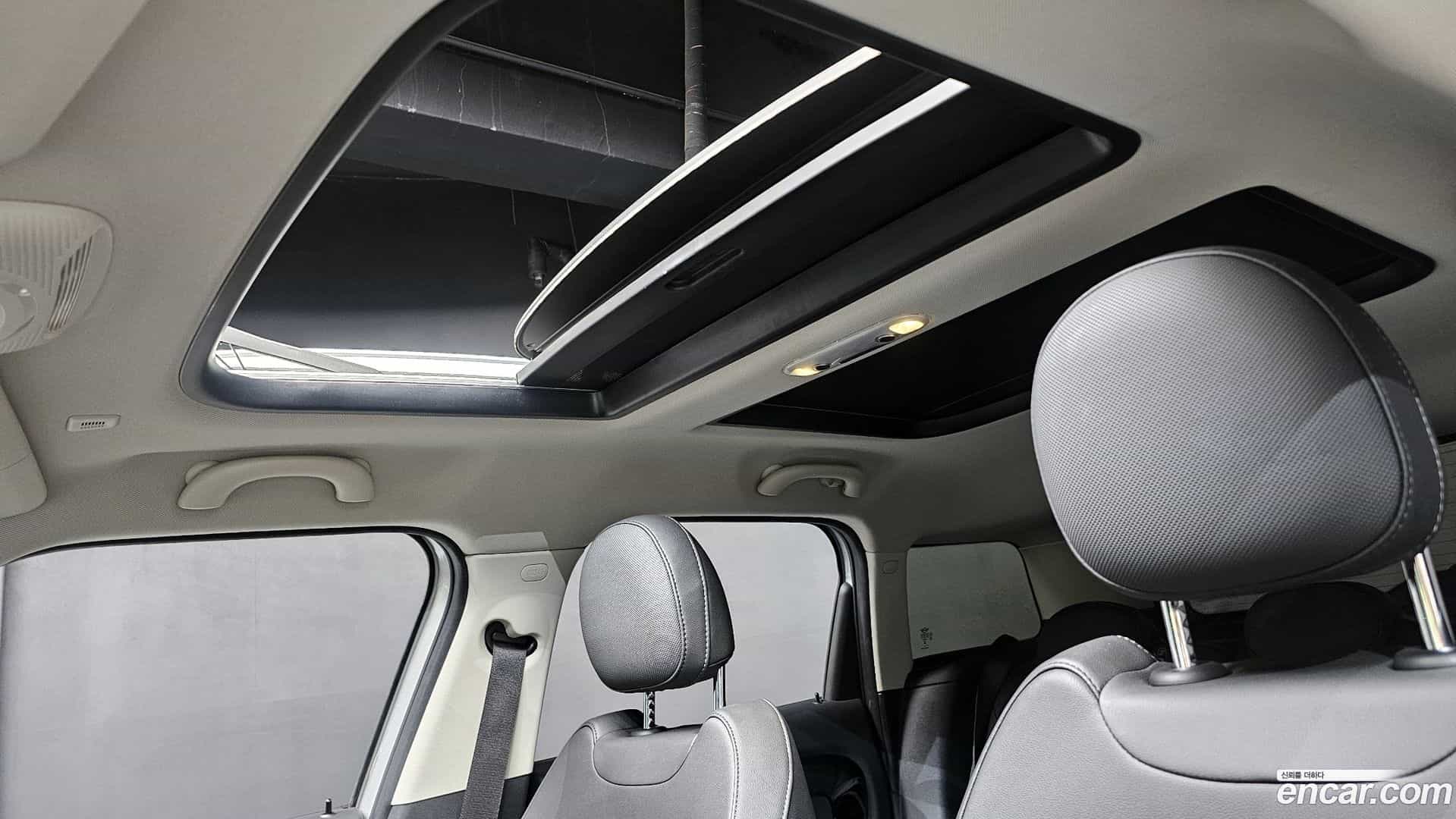 Countryman Mini 2023.8-OPTION-023