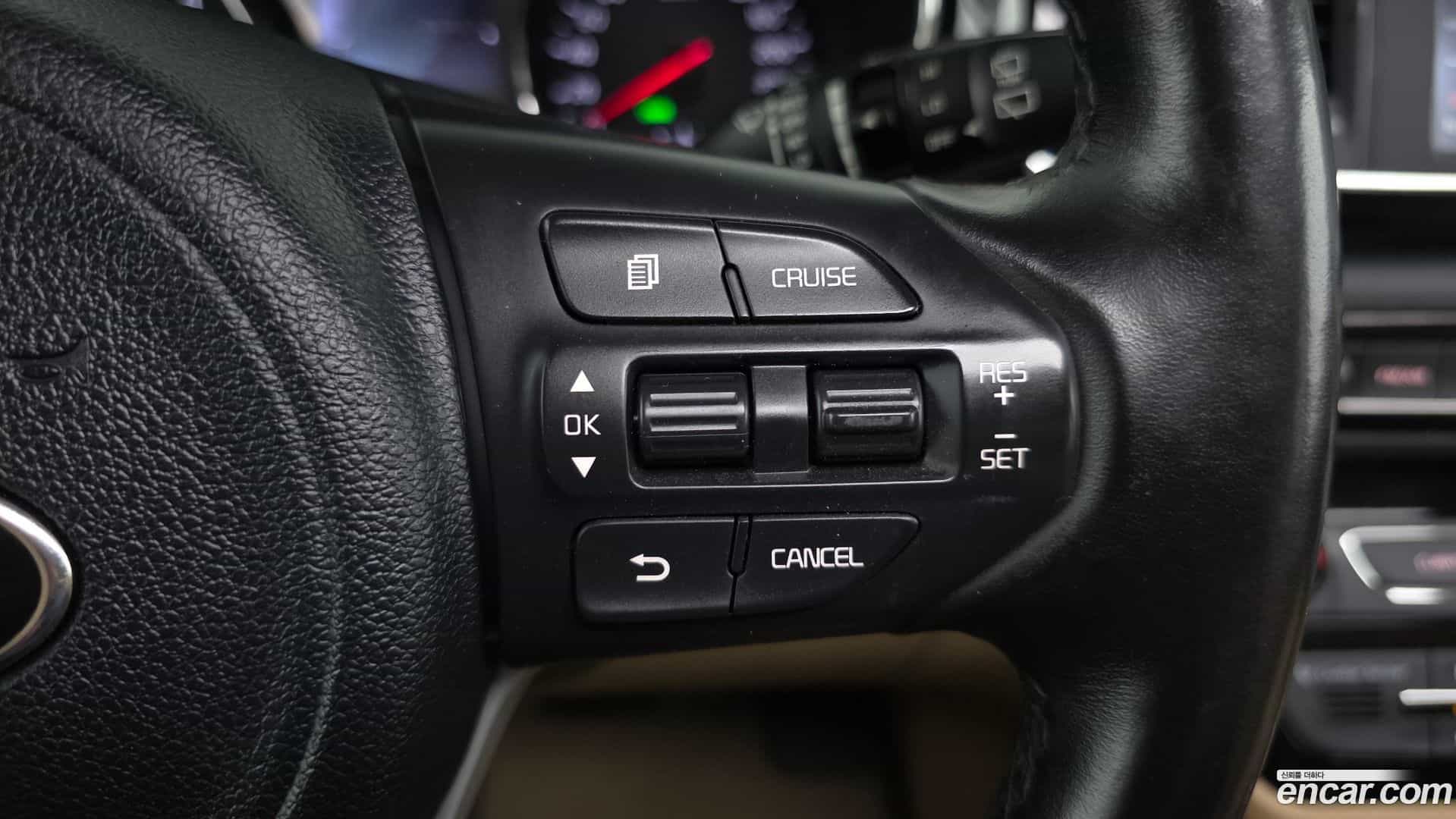 Canival Kia 2017.1-OPTION-022