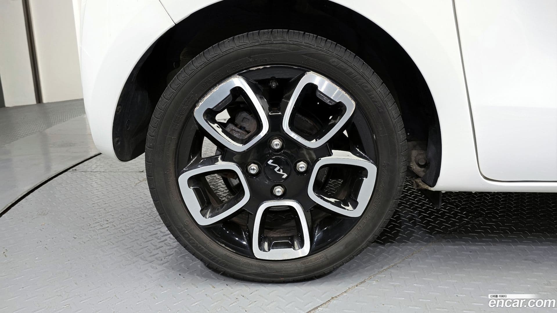 Main__Slider__Photo:RAY Kia 2022.8-28