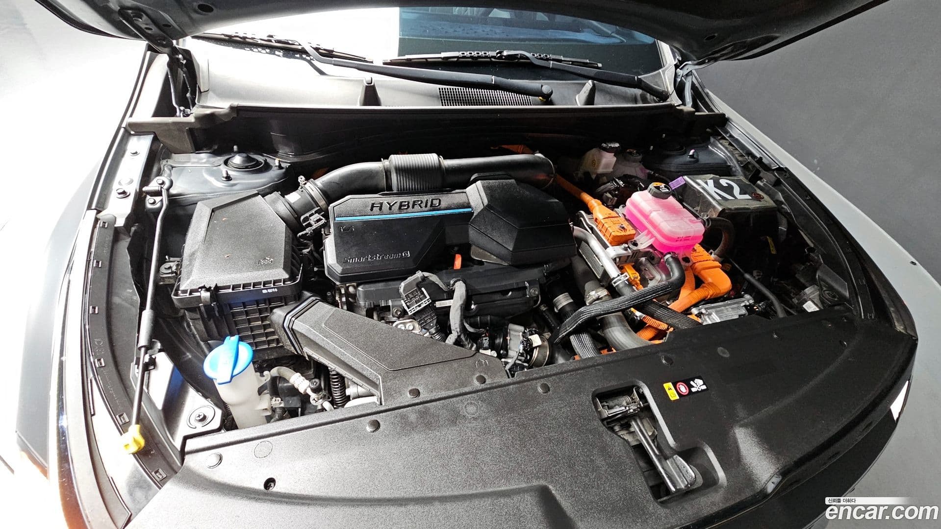 Main__Slider__Photo:Sportage Kia 2024.3-5