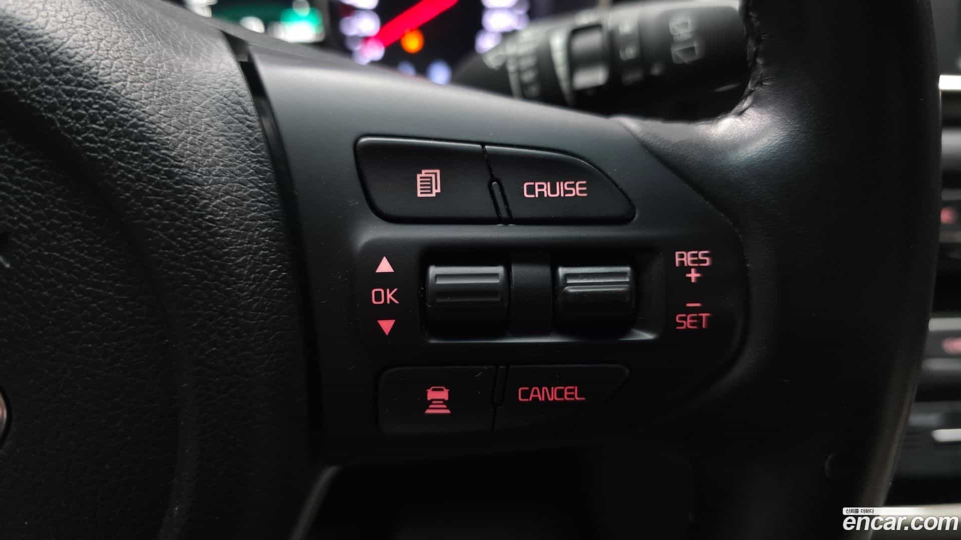 Canival Kia 2018.10-OPTION-040