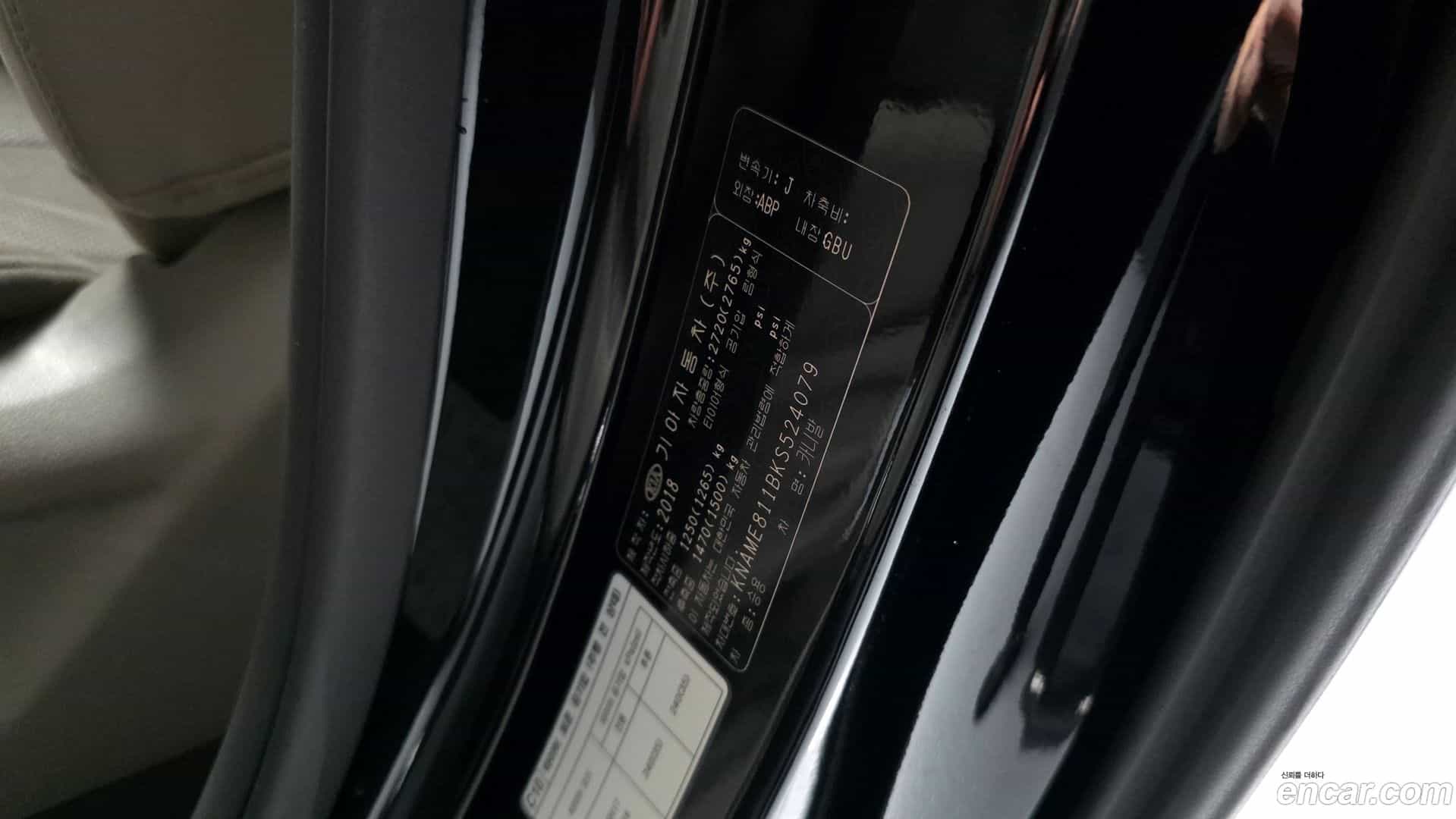 Canival Kia 2018.10-OPTION-043