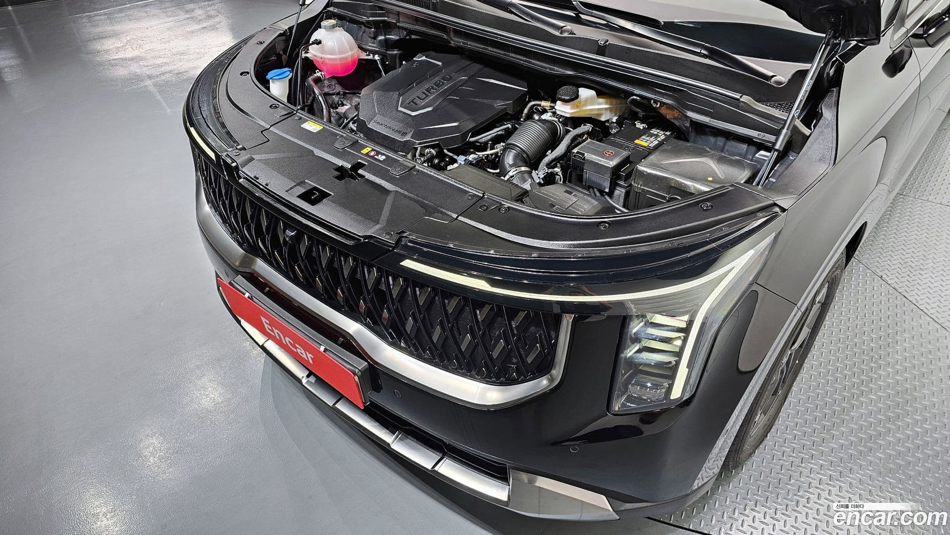 Main__Slider__Photo:Canival Kia 2024.4-5