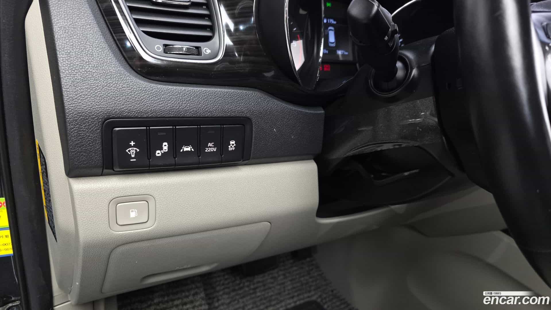 Canival Kia 2019.2-OPTION-021