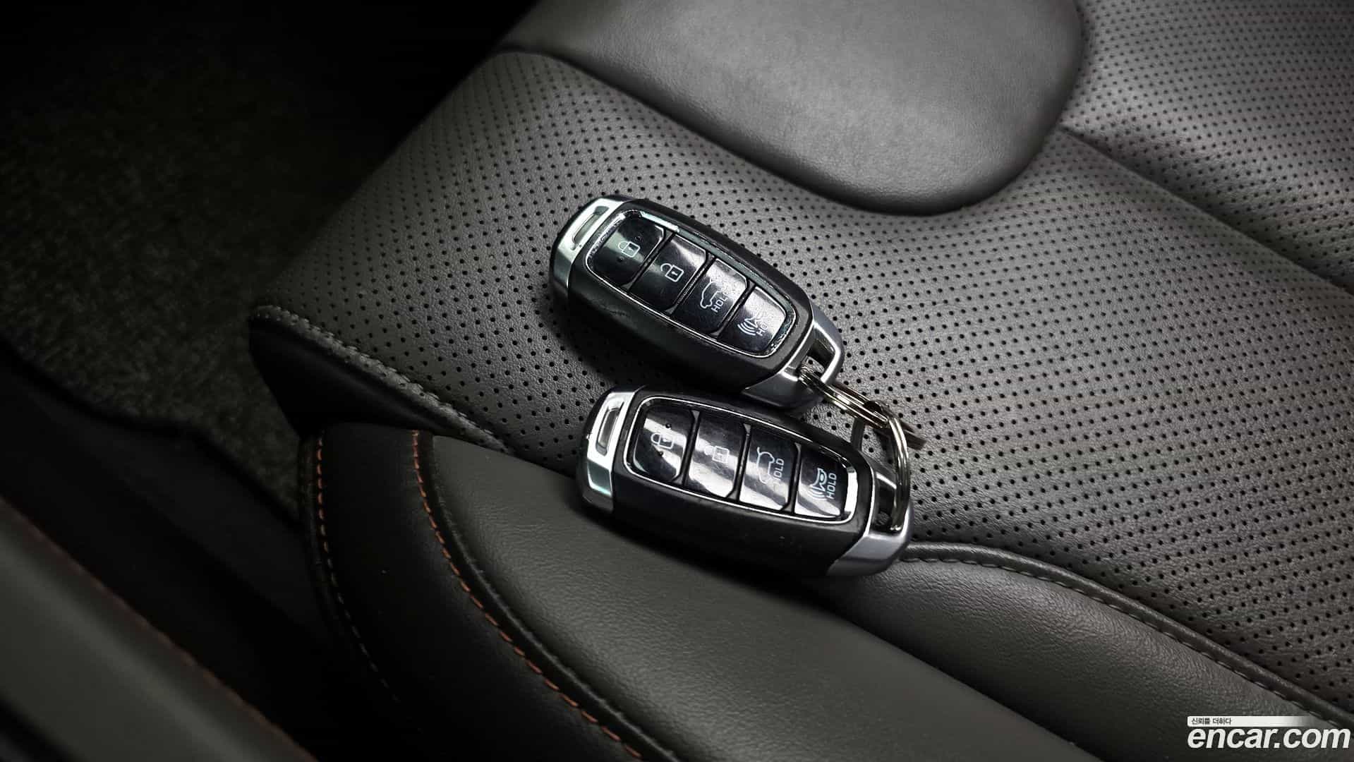 Santafe Hyundai 2018.10-OPTION-044
