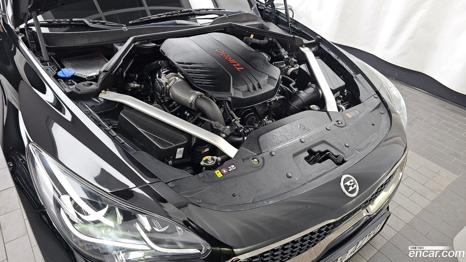 Main__Slider__Photo:Stinger Kia 2019.9-5
