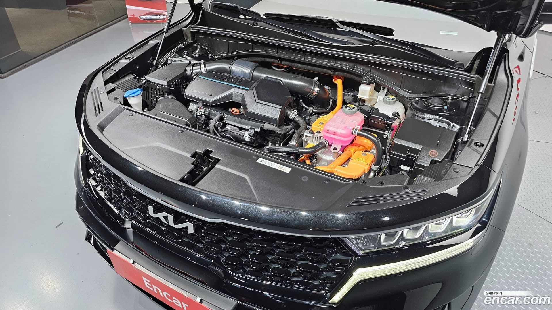 Main__Slider__Photo:Sorento Kia 2022.6-5