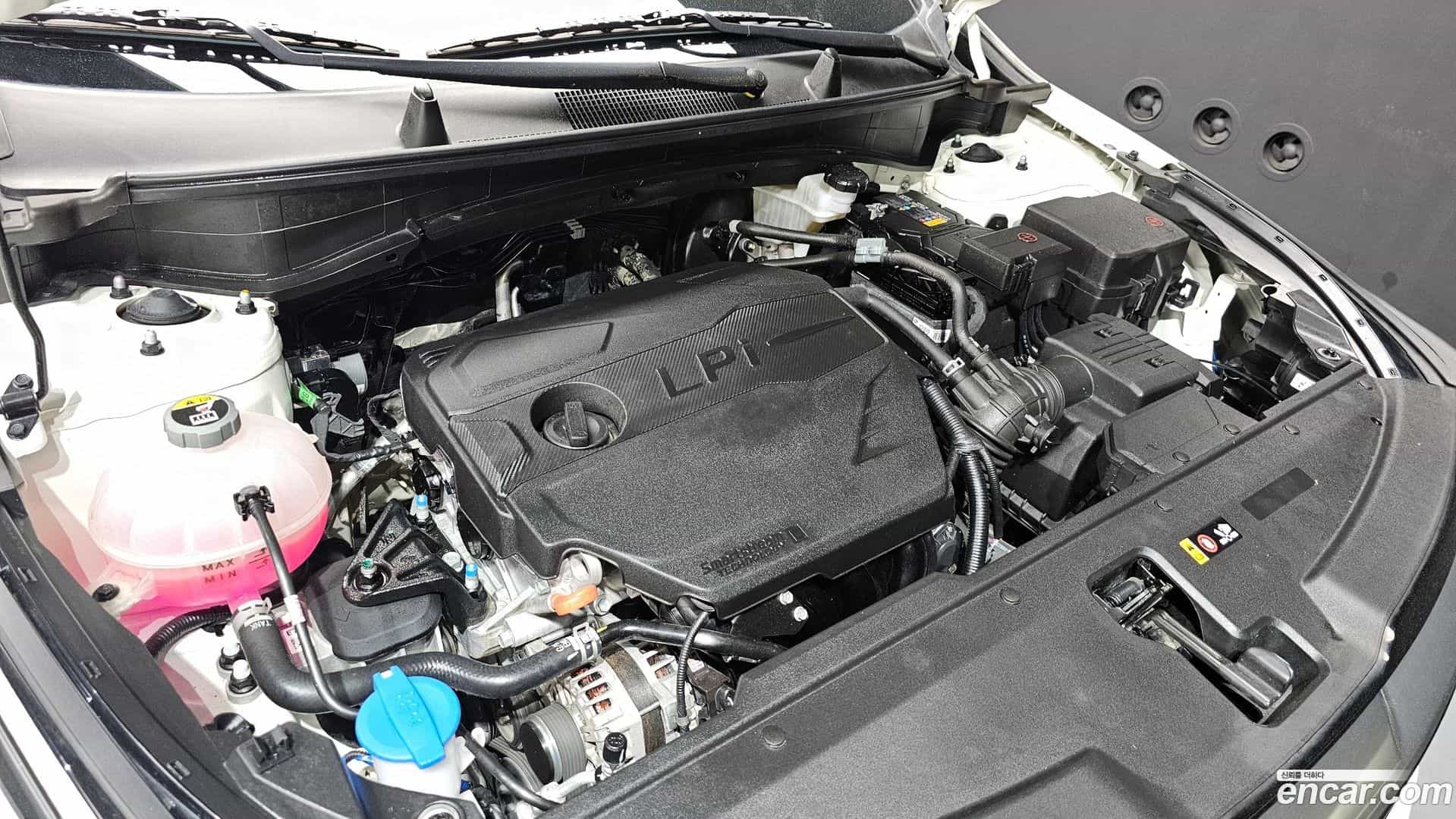 Sportage Kia 2024.8-OUTER-006