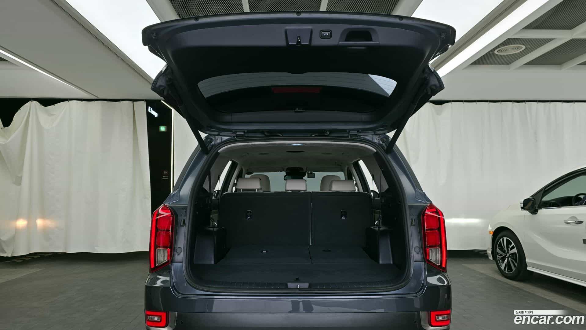 Palisade Hyundai 2020.9-OPTION-024