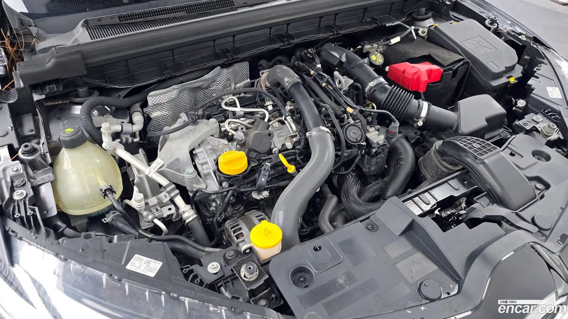 XM3 Renault Korea 2020.2-OUTER-006