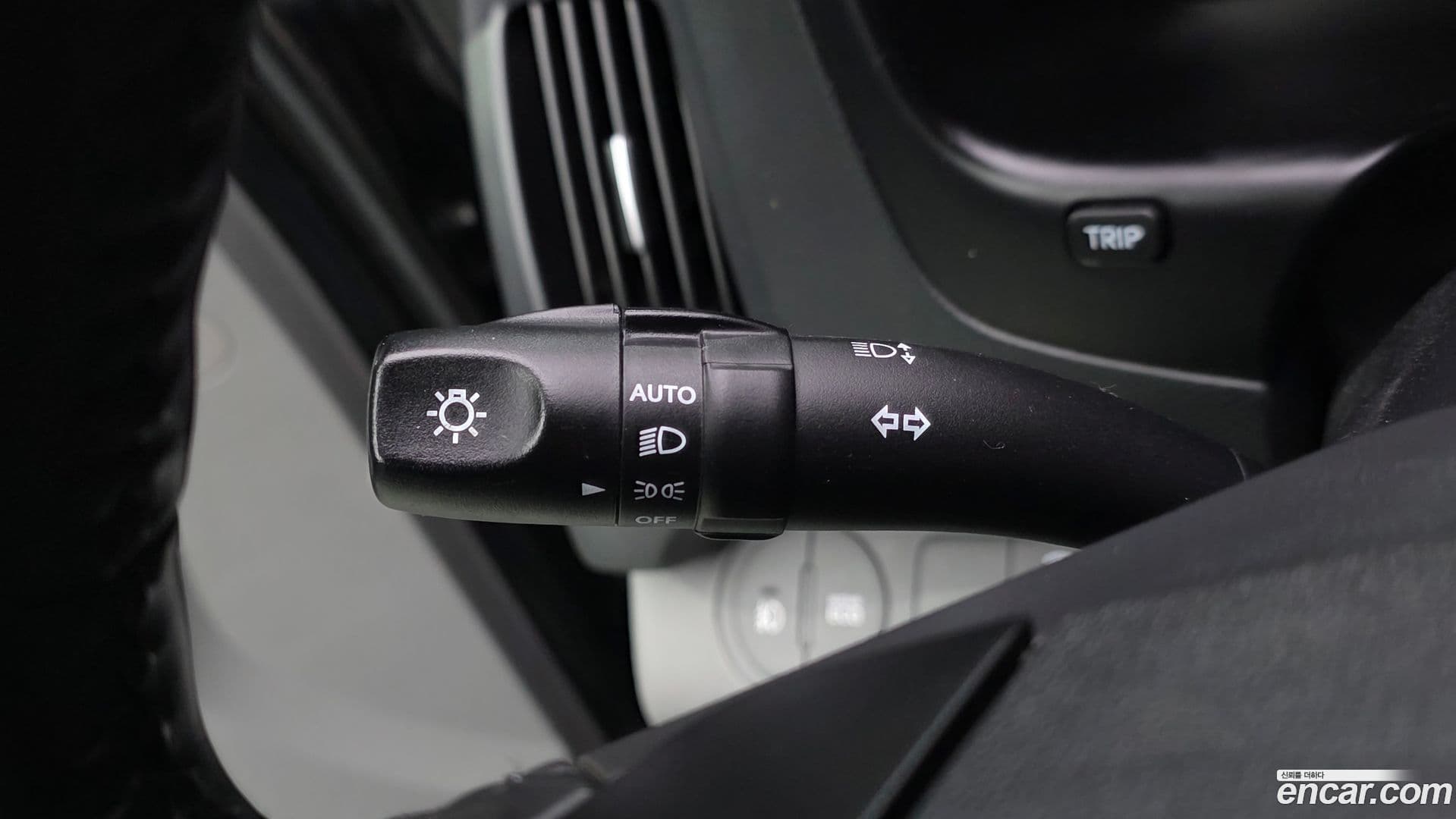 Main__Slider__Photo:Starex Hyundai 2019.6-30