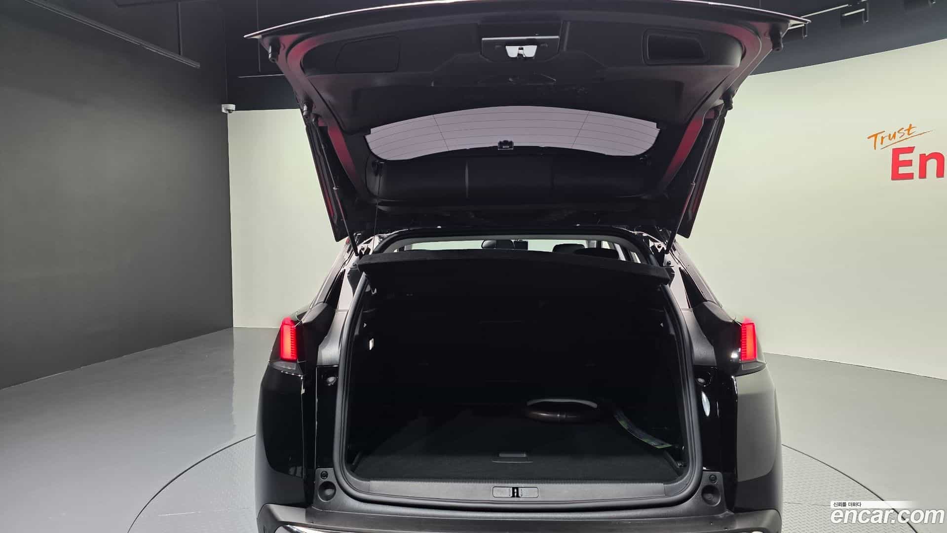 3008 Peugeot 2017.10-OPTION-047