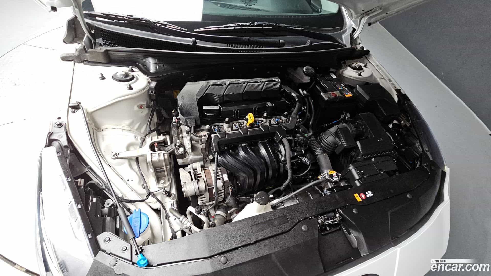 AVANTE Hyundai 2022.5-OUTER-006