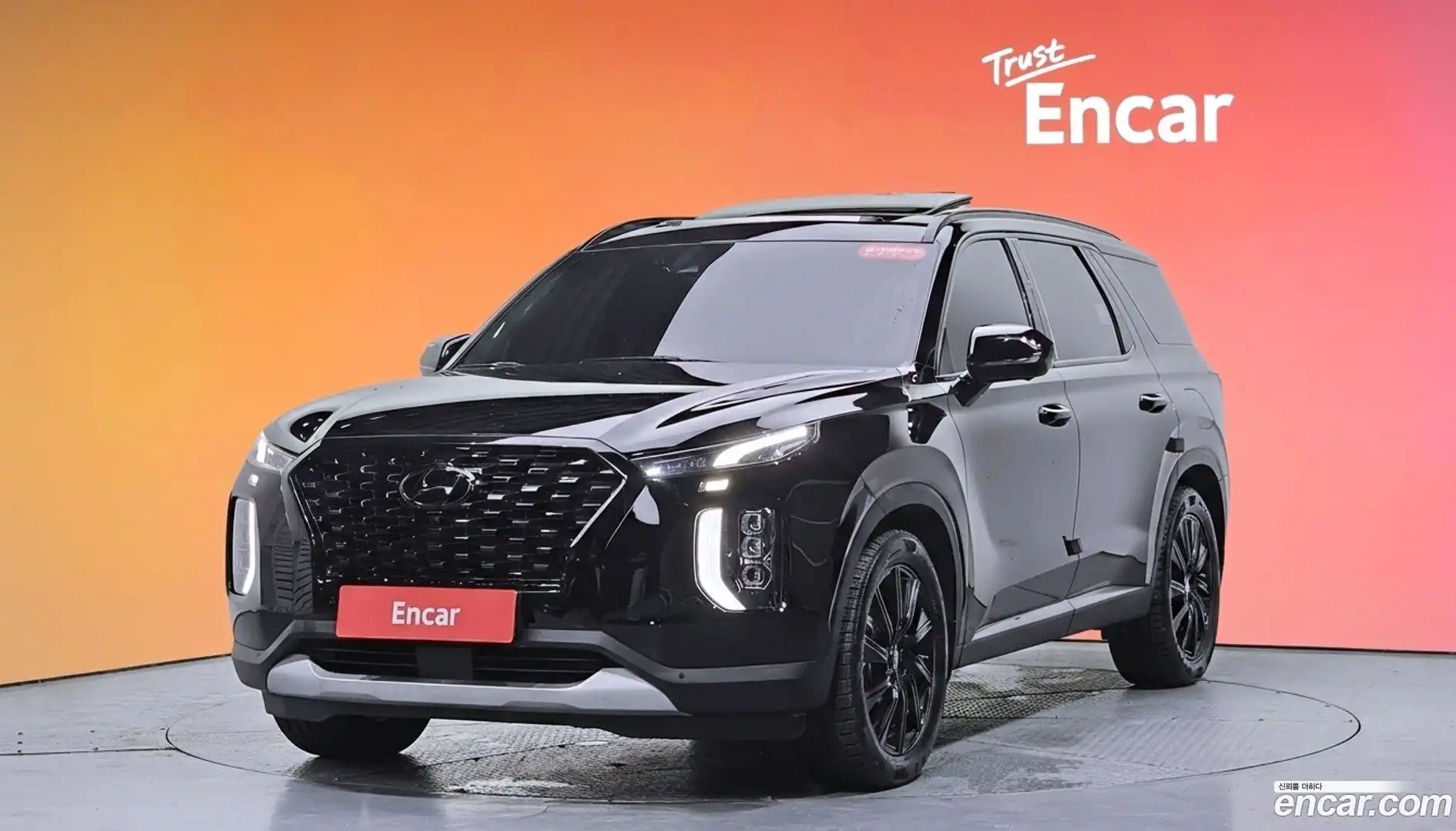 Palisade Hyundai 2021.11-DIAG2-001