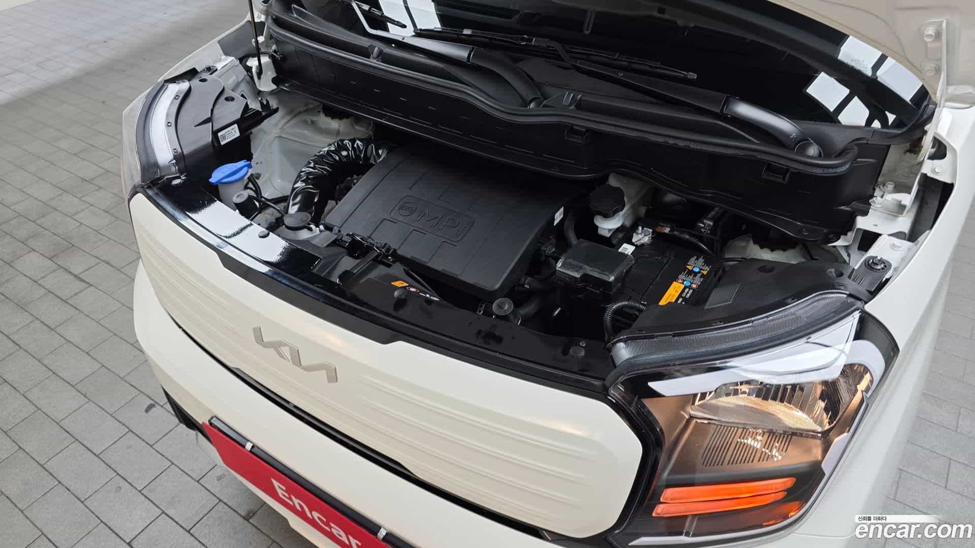 RAY Kia 2024.8-OUTER-006