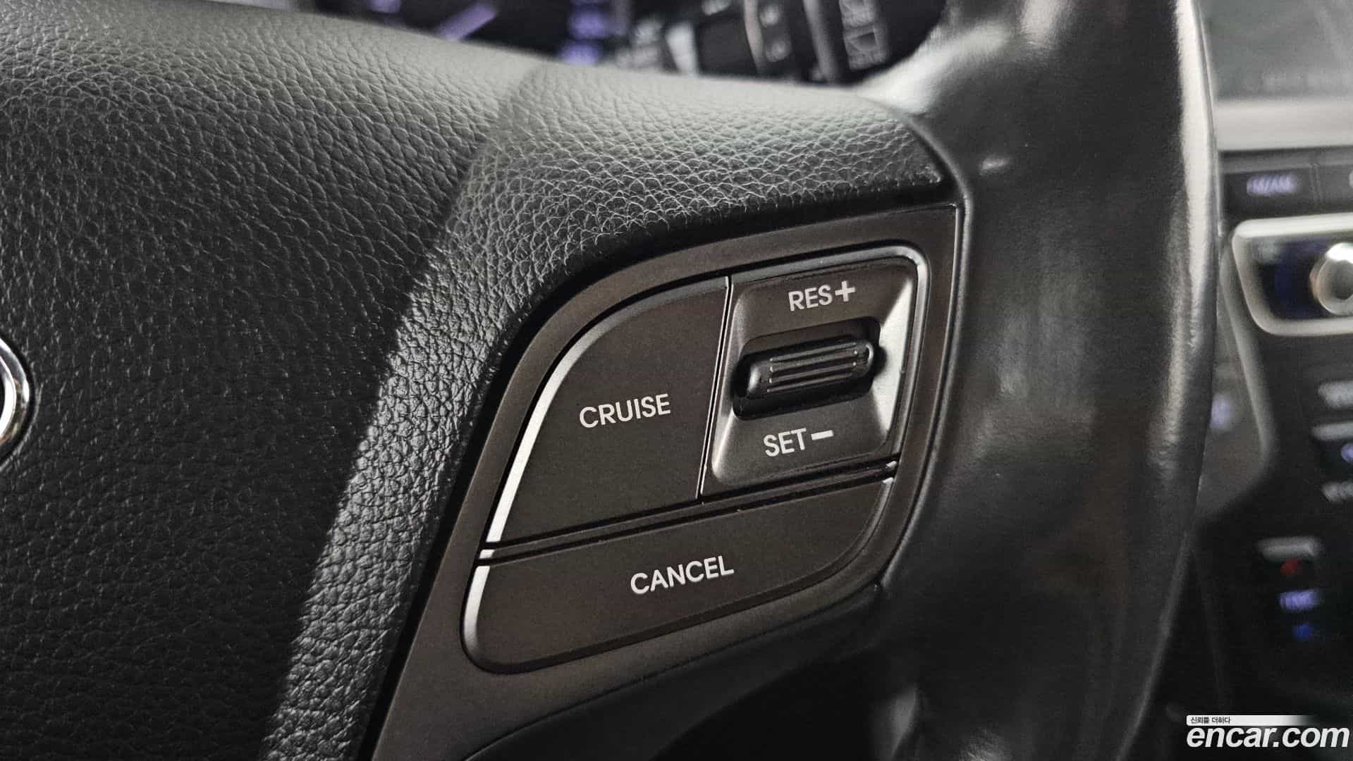 Santafe Hyundai 2017.6-OPTION-021