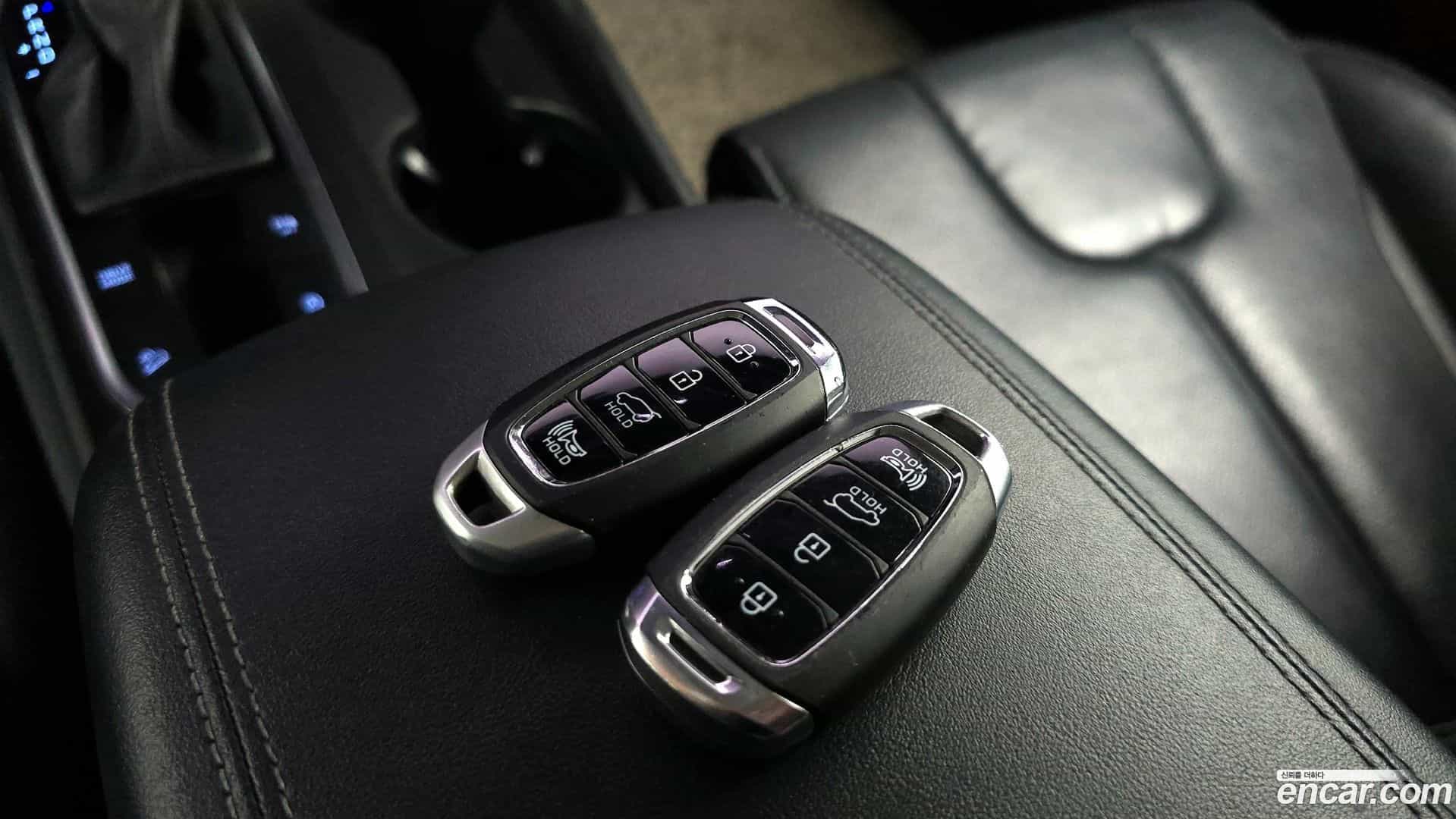 Santafe Hyundai 2018.10-OPTION-044