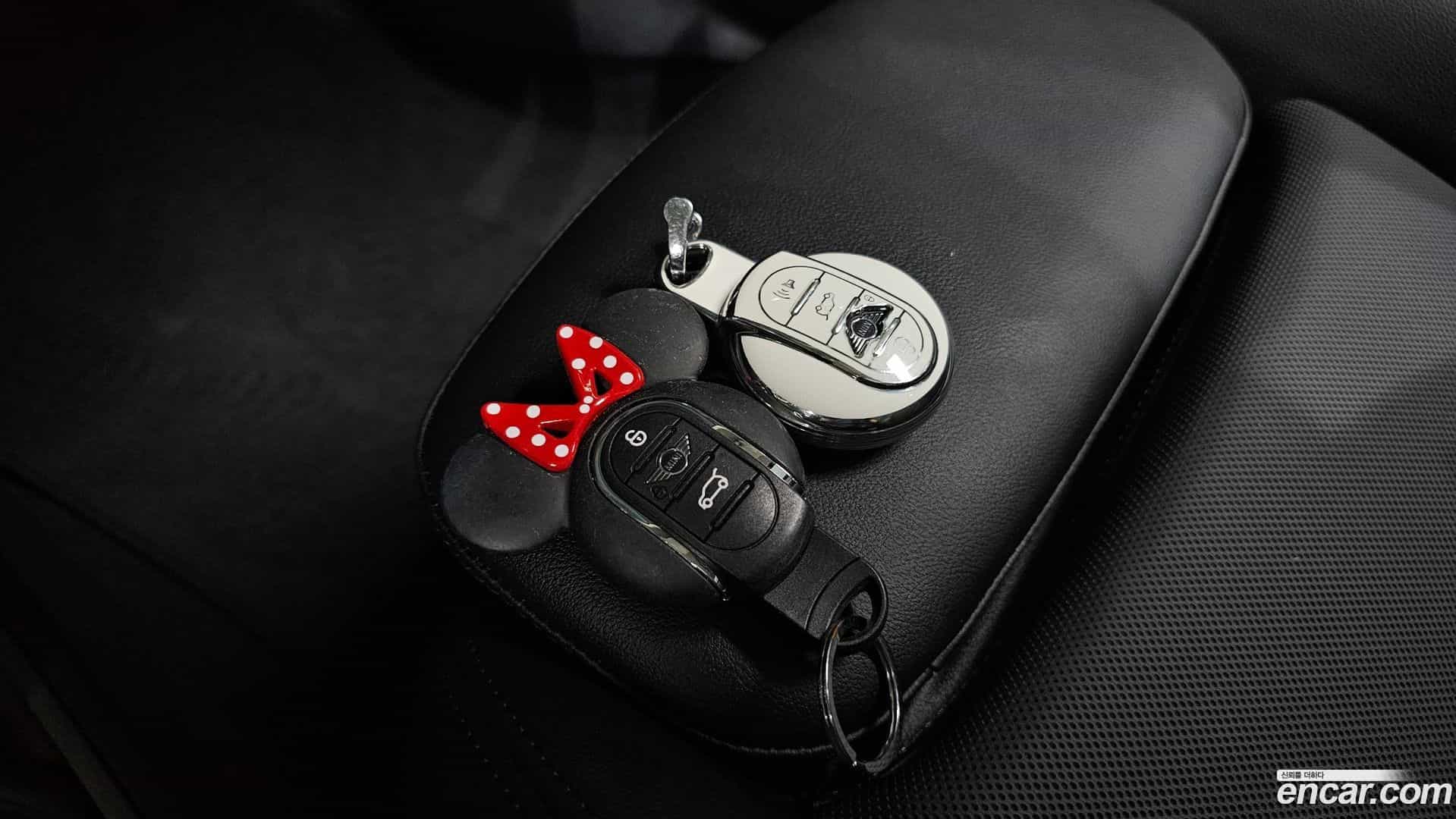 Countryman Mini 2020.10-OPTION-040
