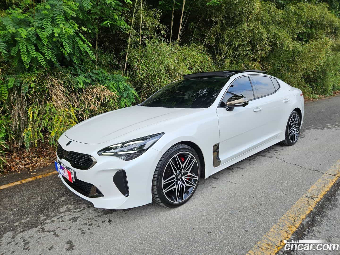 Stinger Kia 2020.8-OUTER-001