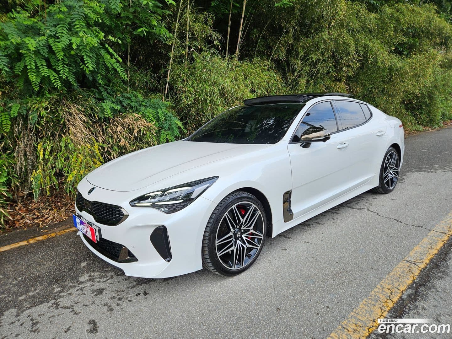 Main__Slider__Photo:Stinger Kia 2020.8-0