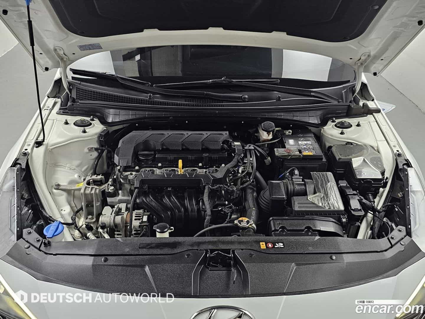 AVANTE Hyundai 2021.4-OPTION-024