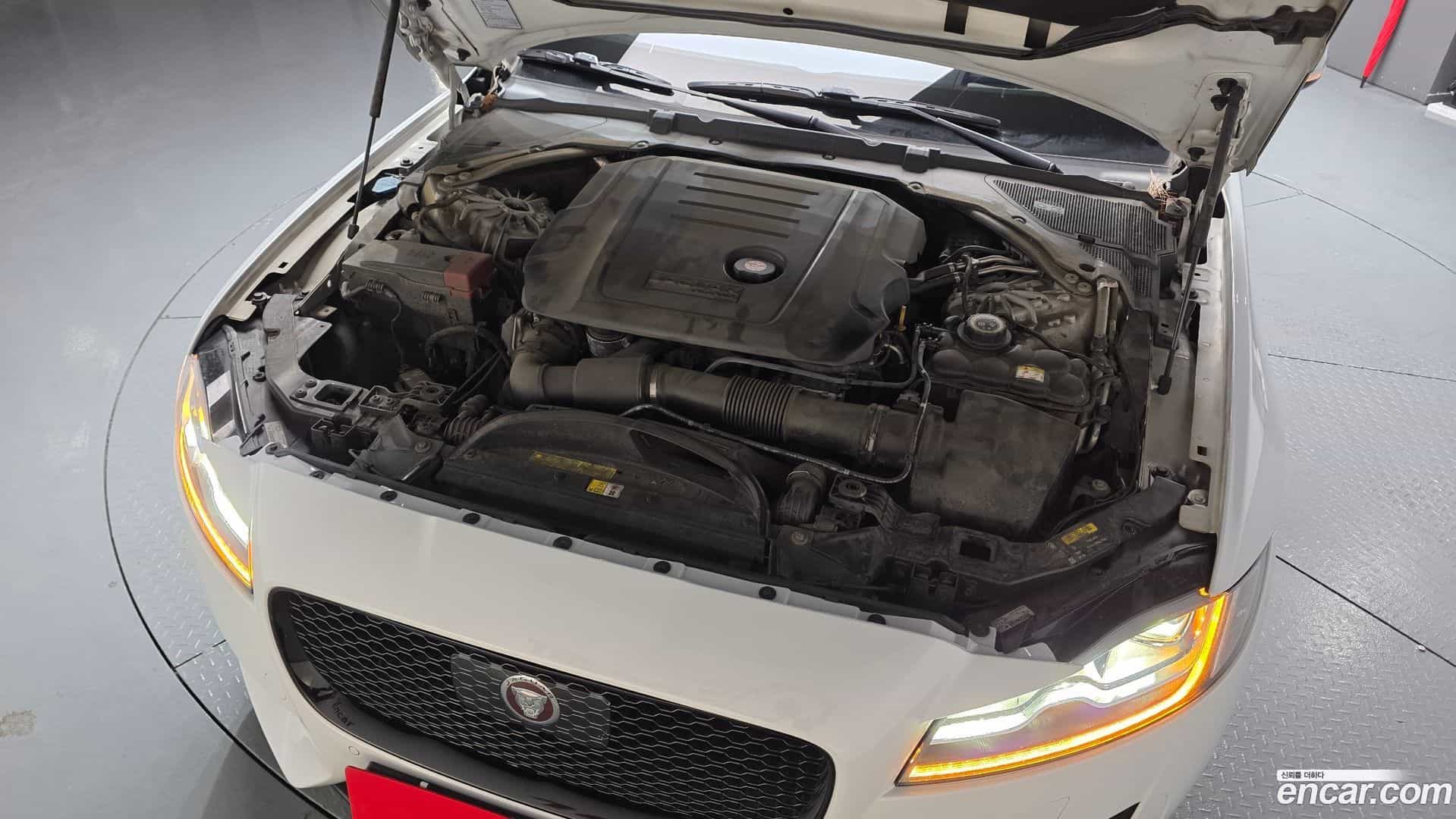 XF Jaguar 2020.11-OUTER-006