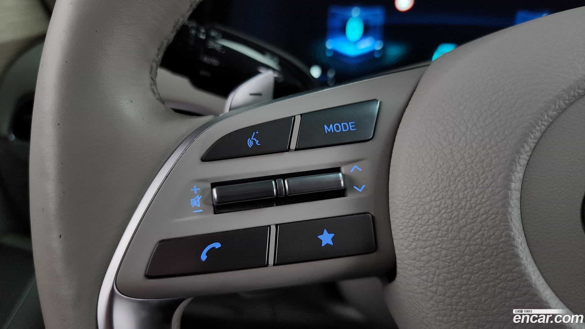 Palisade Hyundai 2022.6-OPTION-020