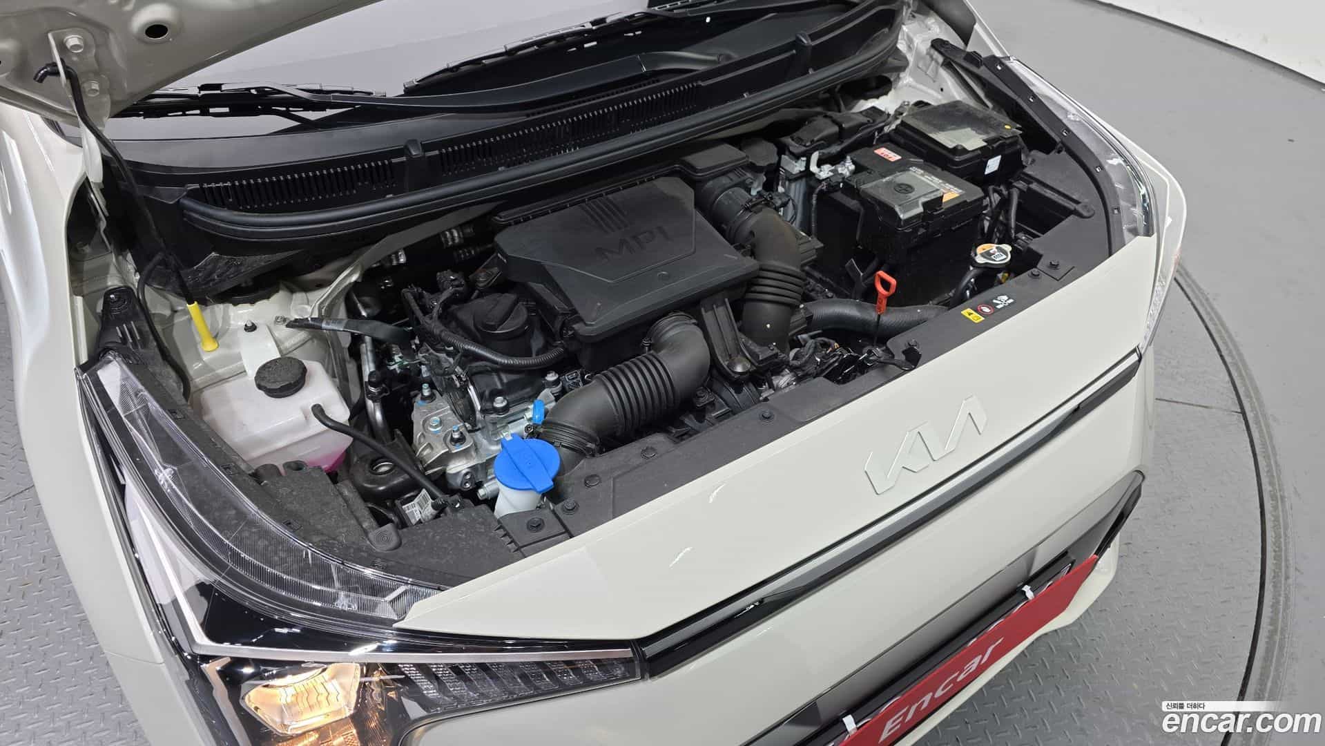 morning Kia 2025.11-OUTER-006