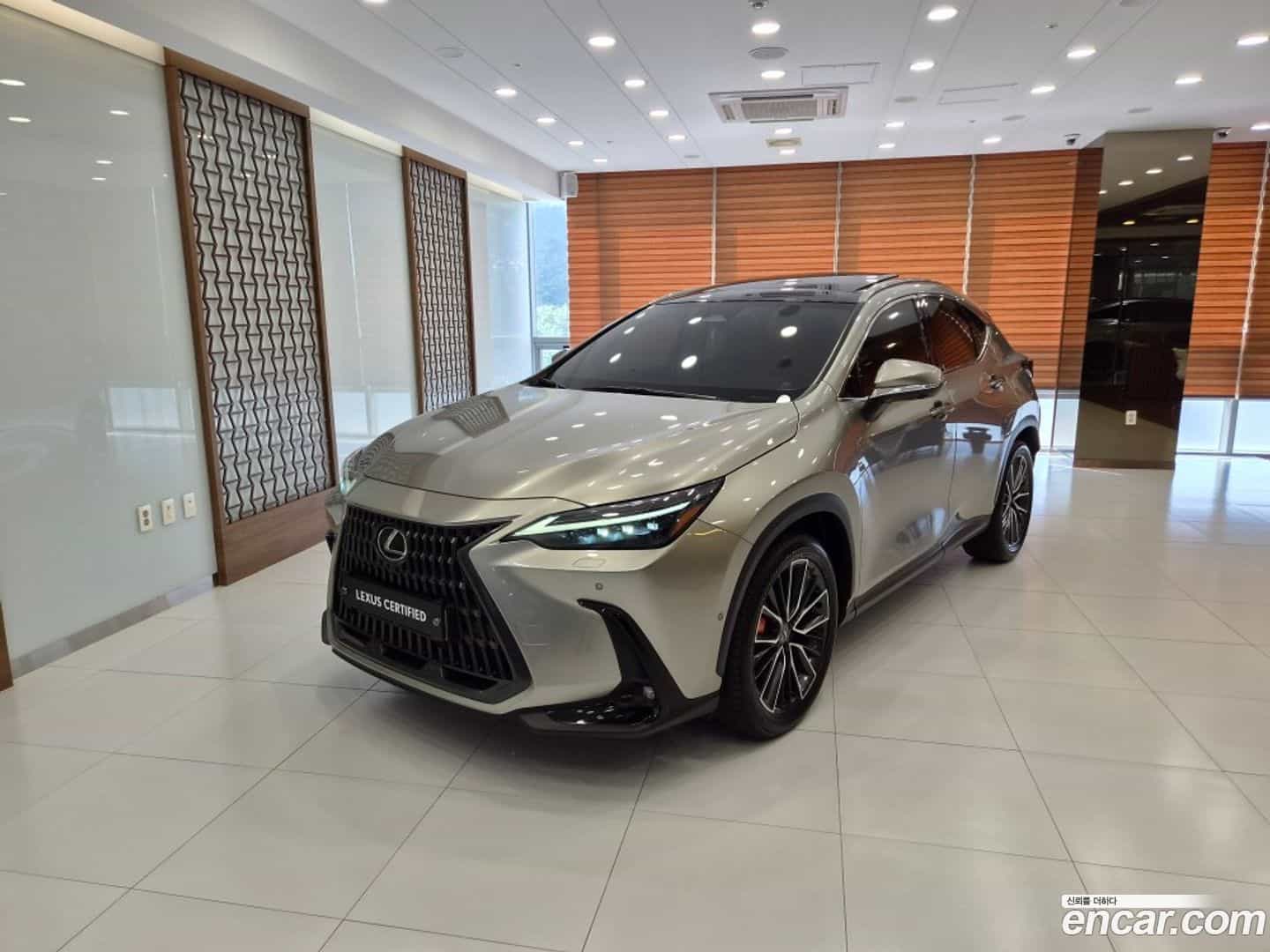 NX Lexus 2023.5-OUTER-001