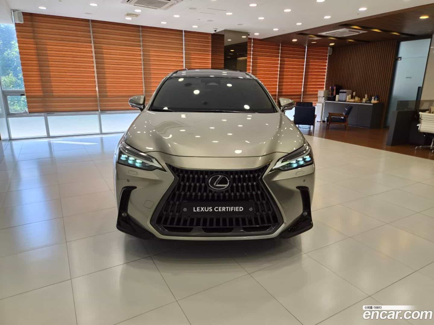 NX Lexus 2023.5-OUTER-003