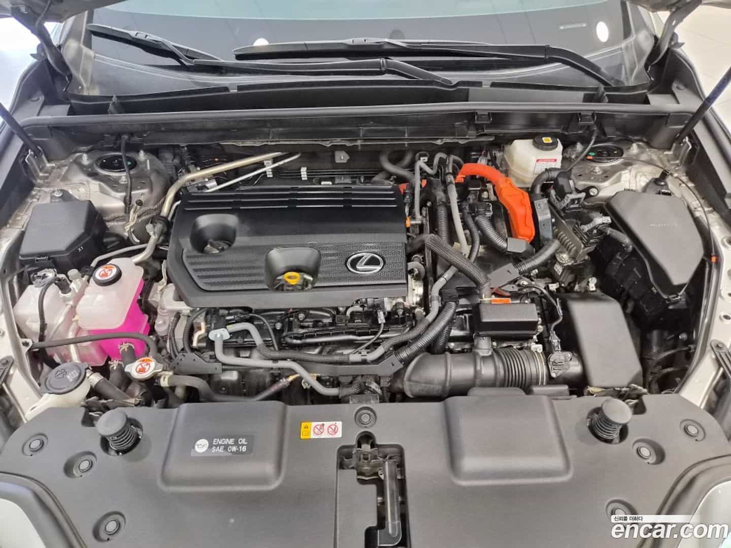 NX Lexus 2023.5-OUTER-006