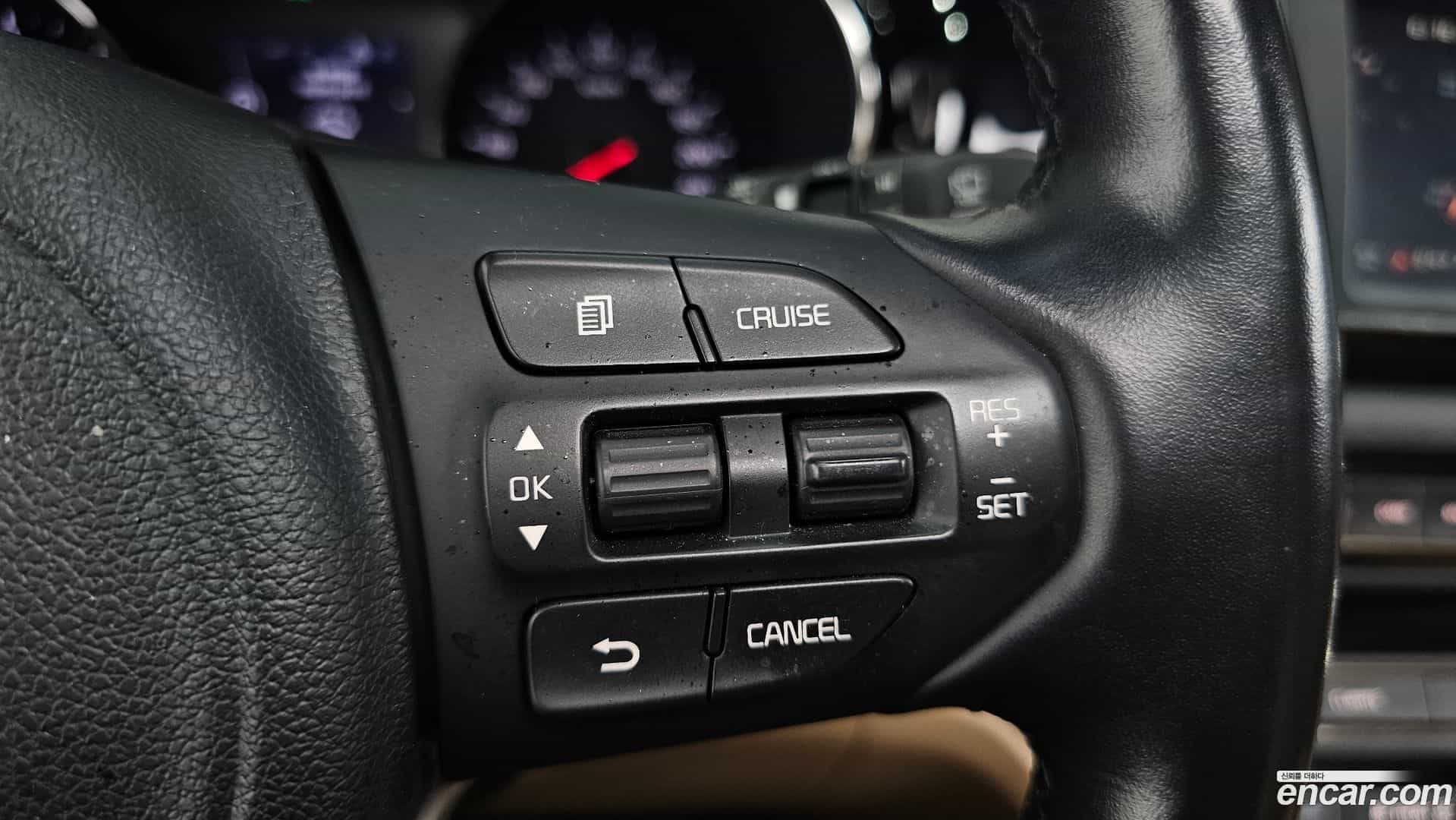 Canival Kia 2017.2-OPTION-021
