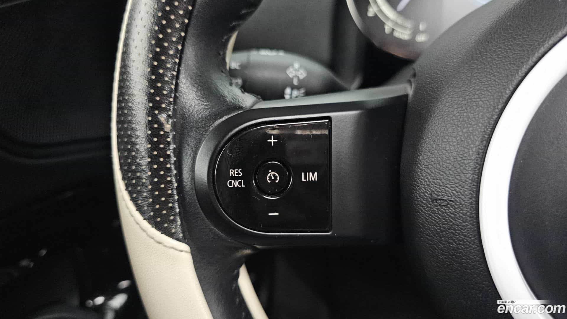 Countryman Mini 2021.6-OPTION-042
