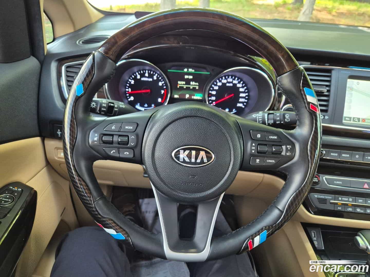 Canival Kia 2019.4-INNER-008