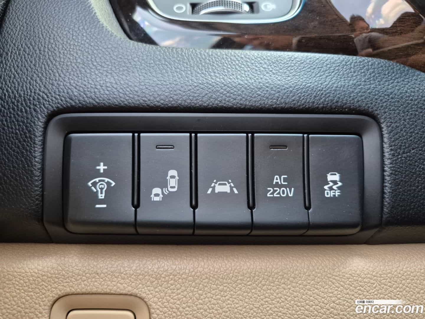 Canival Kia 2019.4-OPTION-017