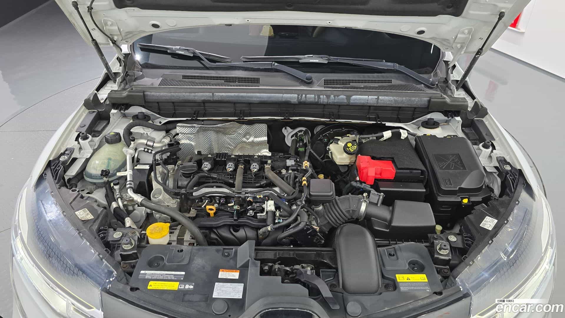 XM3 Renault Korea 2020.4-OUTER-006