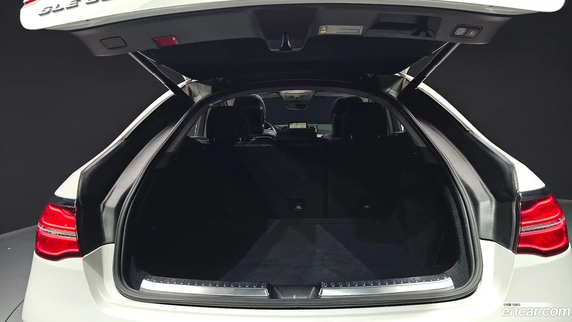 GLE-Class Mercedes-Benz 2017.4-OPTION-024