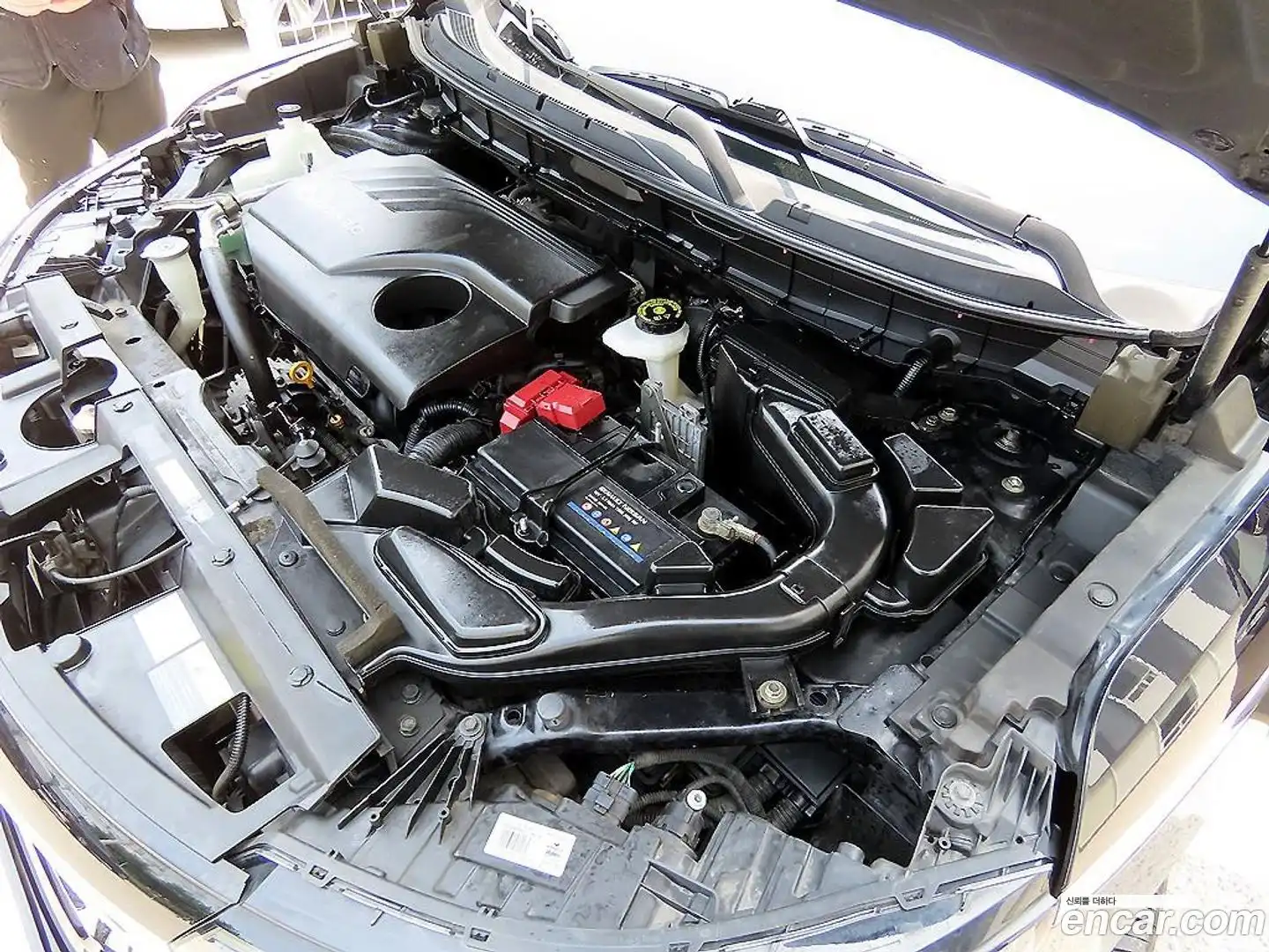 QM6 Renault Korea 2018.9-OPTION-023