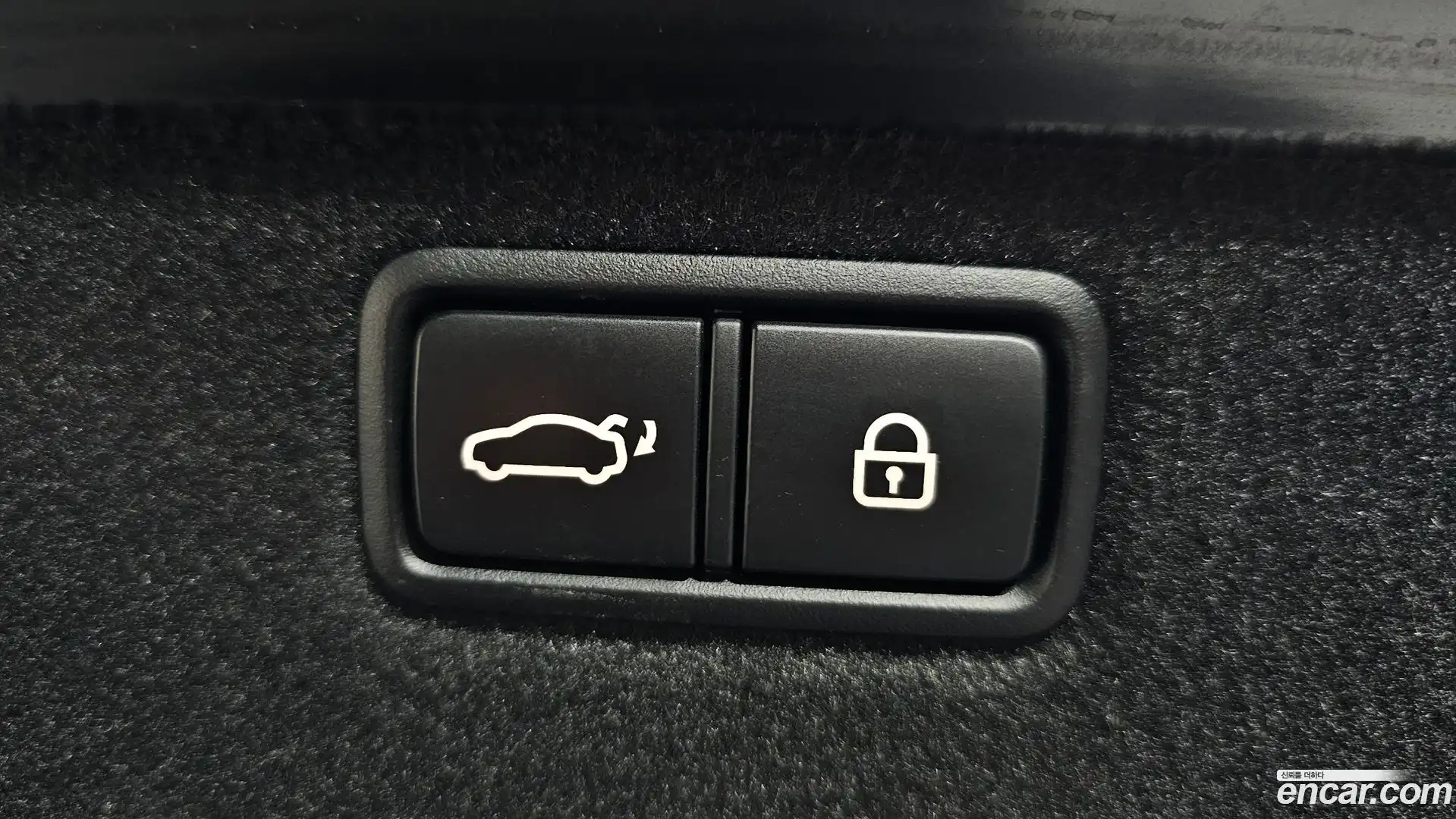 G80 Genesis 2020.1-OPTION-021
