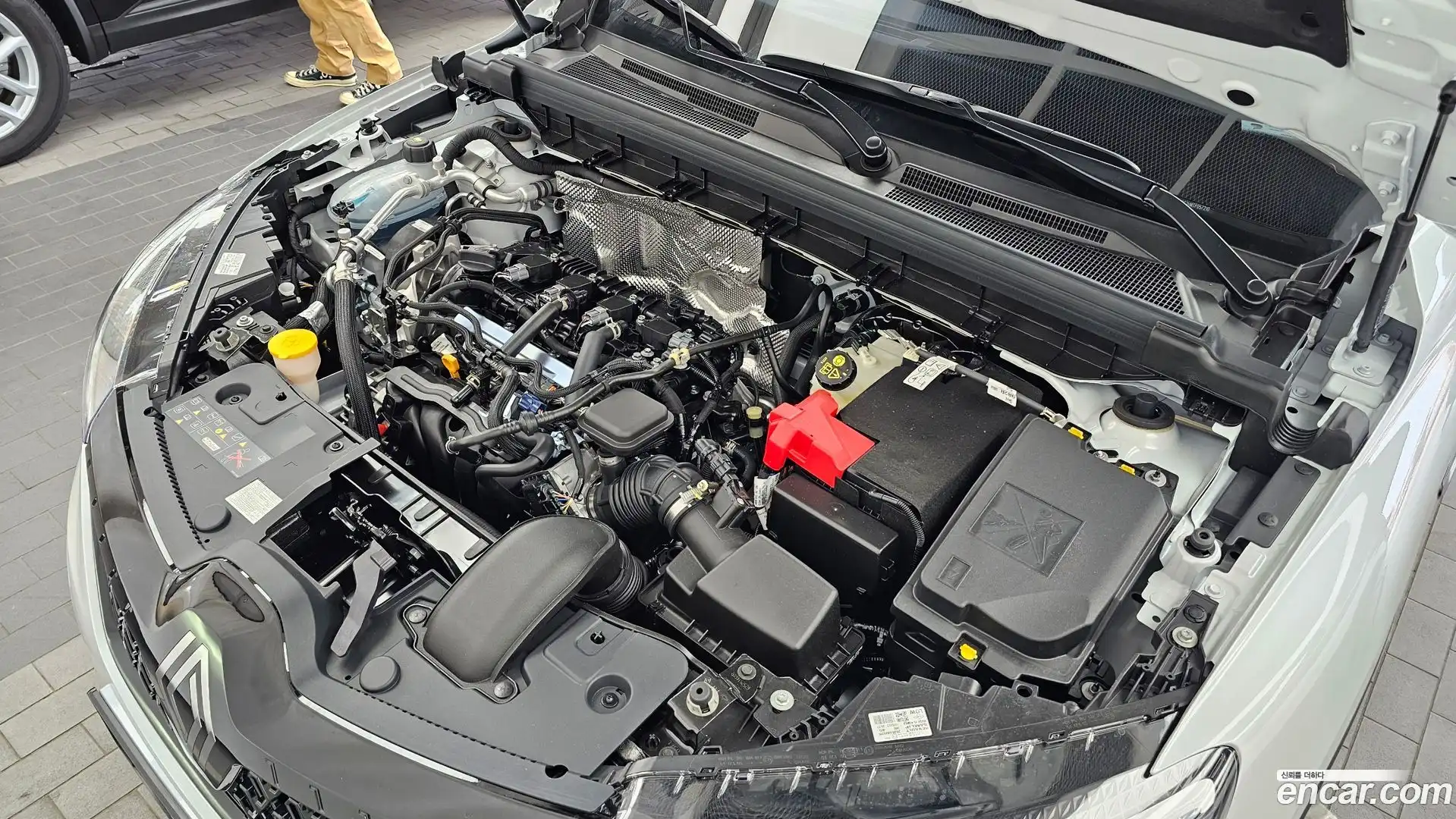 Arkana Renault Korea 2025.11-OUTER-006