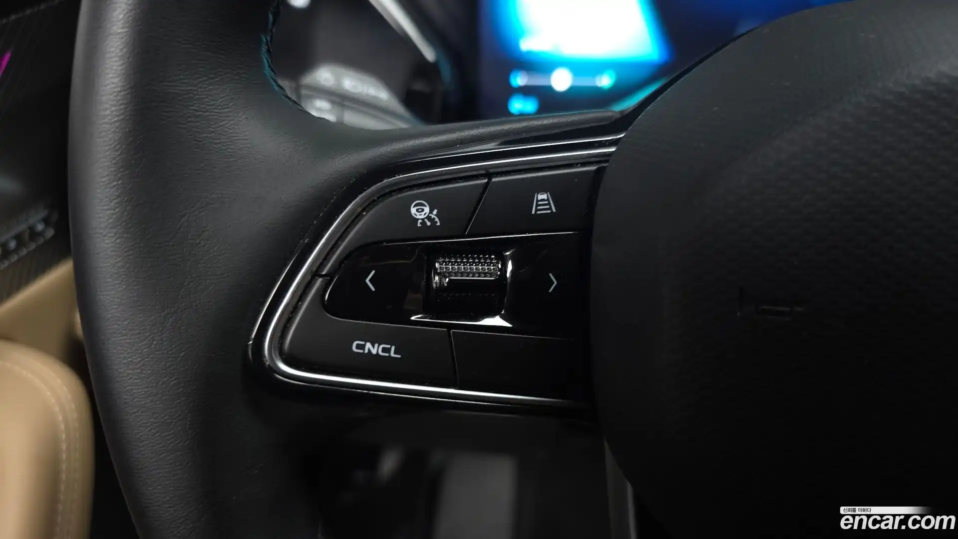 Grand Koleos Renault Korea 2024.10-OPTION-020