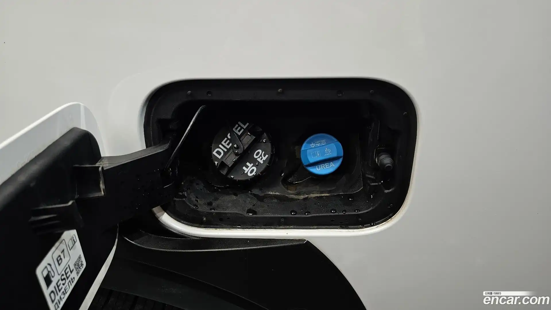 Rexton KG Mobility 2022.1-OPTION-018
