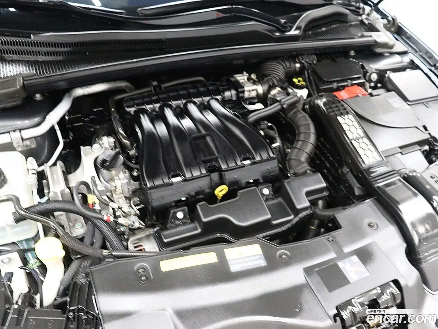 SM6 Renault Korea 2024.3-OPTION-023