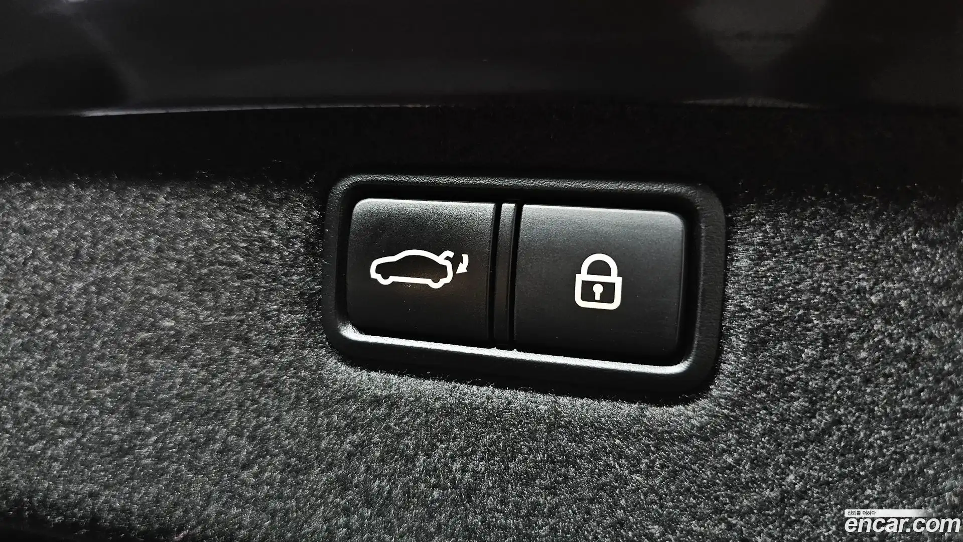 G80 Genesis 2019.0-OPTION-046