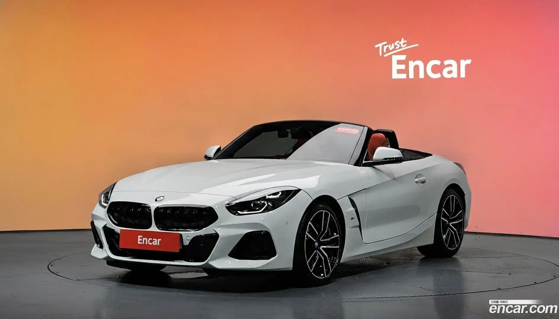 Z4 BMW 2025.7-DIAG2-001