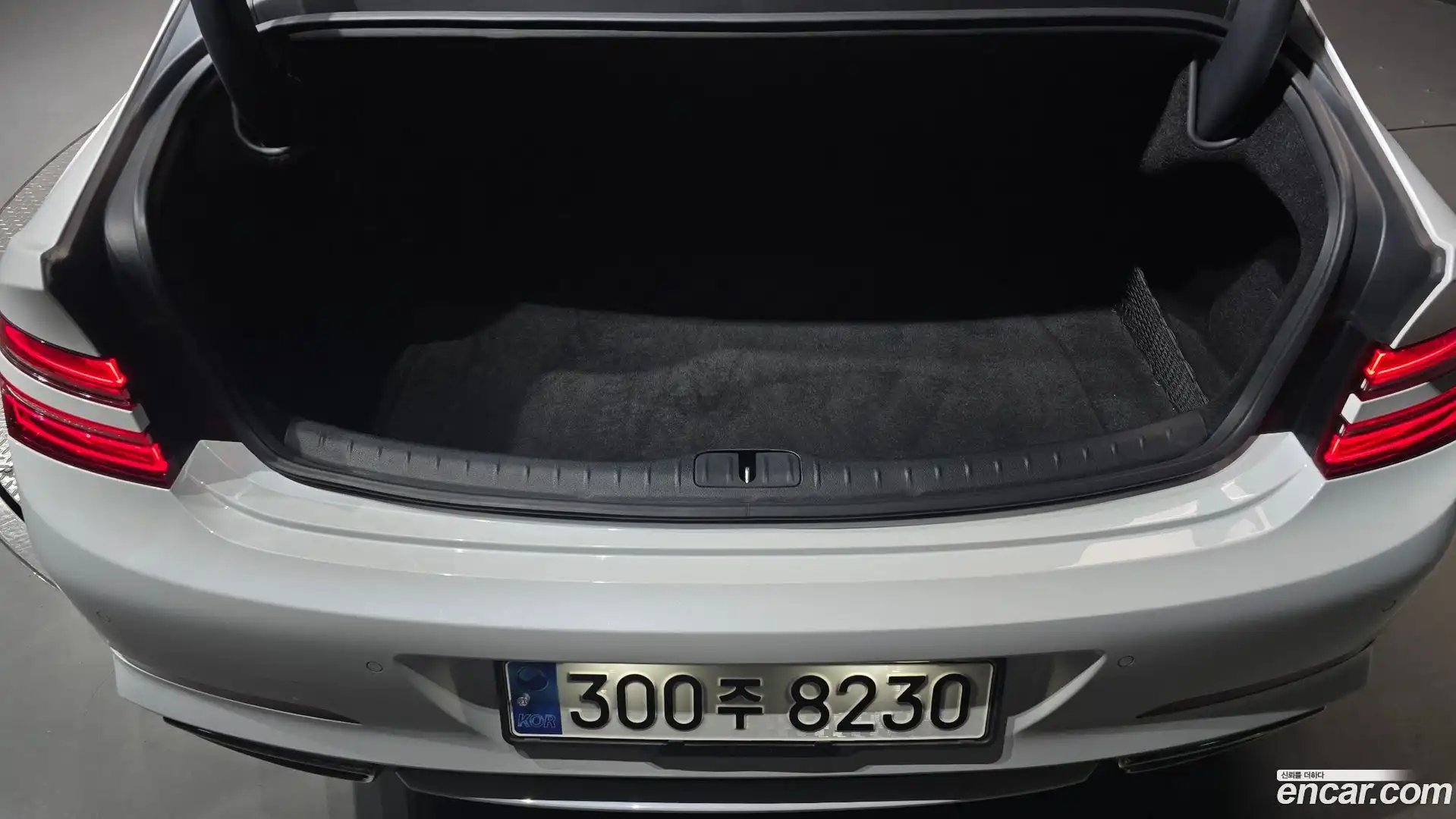 G80 Genesis 2020.7-OPTION-040